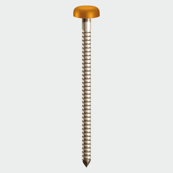 TIMCO PP40O 40mm Polymer Head Pin- OAK -250Pk  TIMPP40O