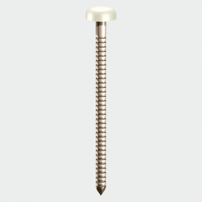 TIMCO Nails - PP25W Polymer Headed Pin - White 25mm   _PP25W