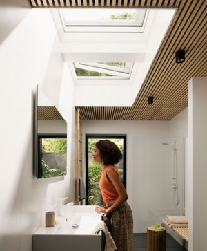 VELUX Curved Glass Rooflight