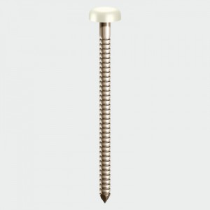 TIMCO Nails - PP25W Polymer Headed Pin - White 25mm   _PP25W