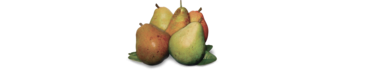 Pear Stairs Logo